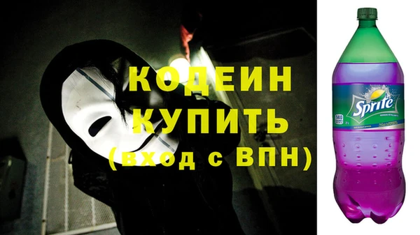 стаф Бородино