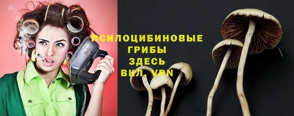 стаф Бородино
