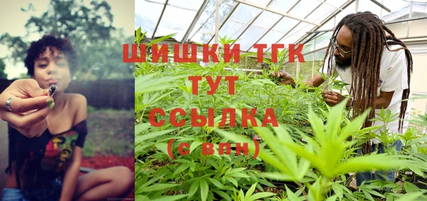 стаф Бородино