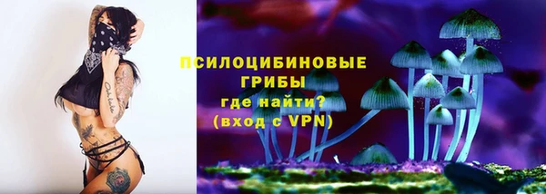 стаф Бородино