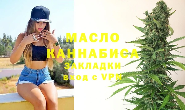стаф Бородино
