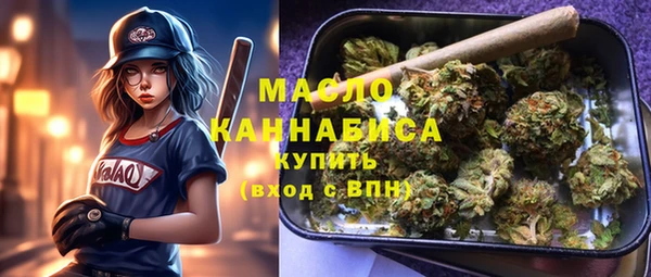 стаф Бородино