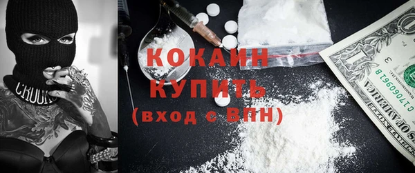 стаф Бородино