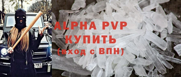 стаф Бородино