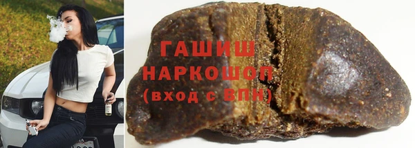стаф Бородино