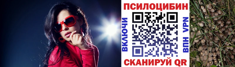 Галлюциногенные грибы GOLDEN TEACHER  Кириллов 