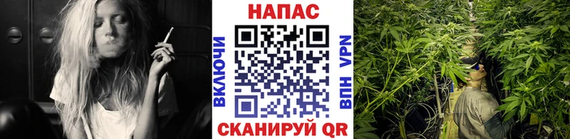 что такое наркотик  Кириллов  Марихуана OG Kush 